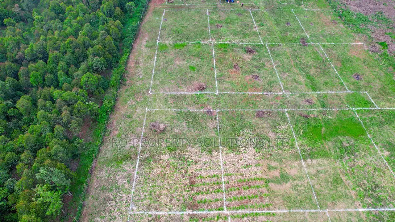 Thigio Prime Community: Ready-to-Move Gated Plots with Titles in Kikuyu