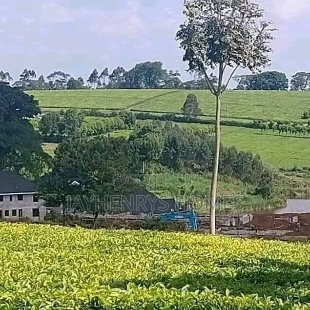 Prime 12.5-Acre Land for Sale in Riara Ridge, Tigoni in Tigoni