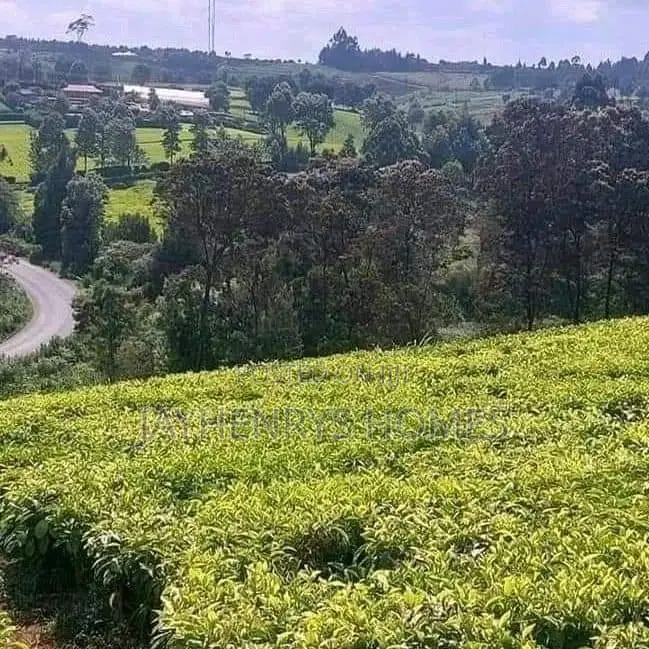 Prime 12.5-Acre Land for Sale in Riara Ridge, Tigoni in Tigoni