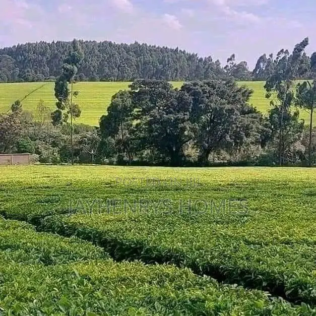 Prime 12.5-Acre Land for Sale in Riara Ridge, Tigoni in Tigoni
