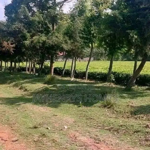 Prime 12.5-Acre Land for Sale in Riara Ridge, Tigoni in Tigoni