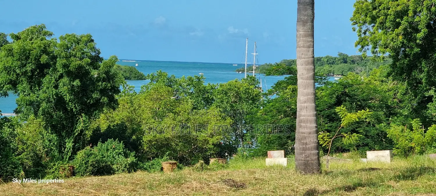 Serena - 3.7 Acre Creekside Beach Property Up for Grabs in Shanzu
