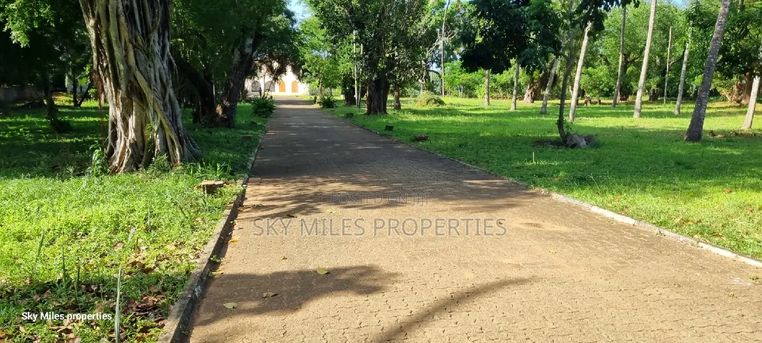 Serena - 3.7 Acre Creekside Beach Property Up for Grabs in Shanzu