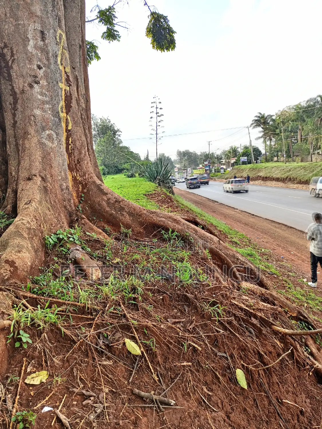 Prime 5 Acres Plot for Rent Near Kiambu Road in Kiambu / Kiambu 