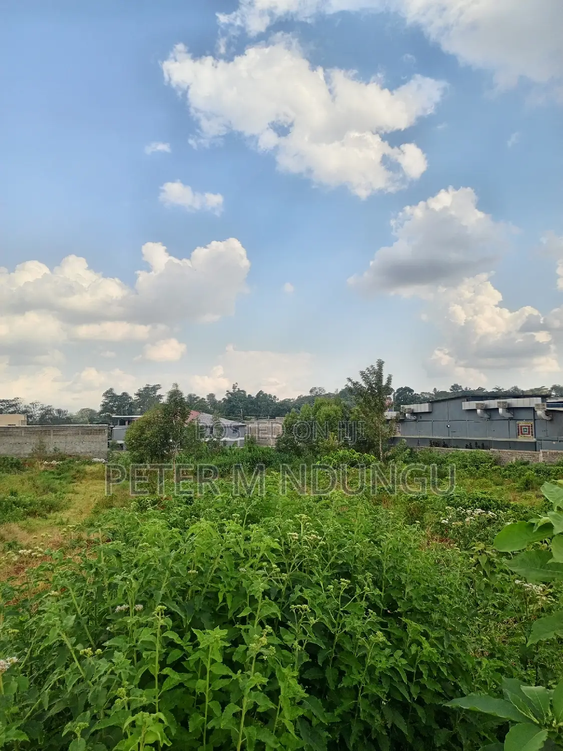 Northern Bypass, Second Row: 1.5-Acre Lease for Business Growth in Kiambu / Kiambu 