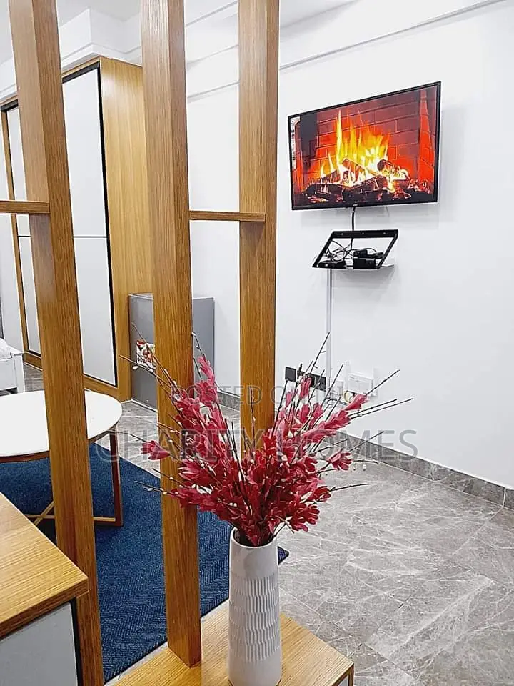 Furnished Bedsitter for Rent in South B - Airbnb Listing in South B