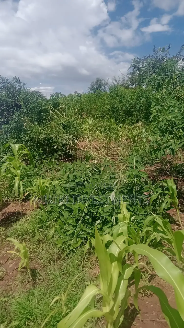 Affordable Acreage for Sale in Manaja in Seasons Estate