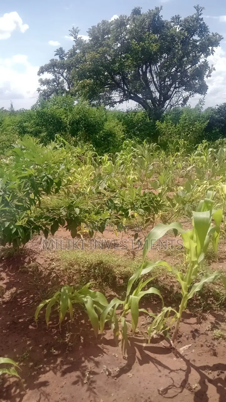 Affordable Acreage for Sale in Manaja in Seasons Estate