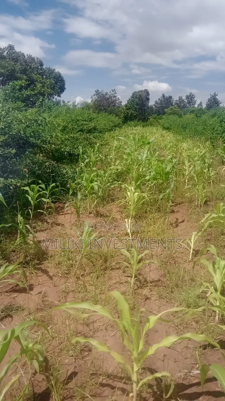 Affordable Acreage for Sale in Manaja in Seasons Estate