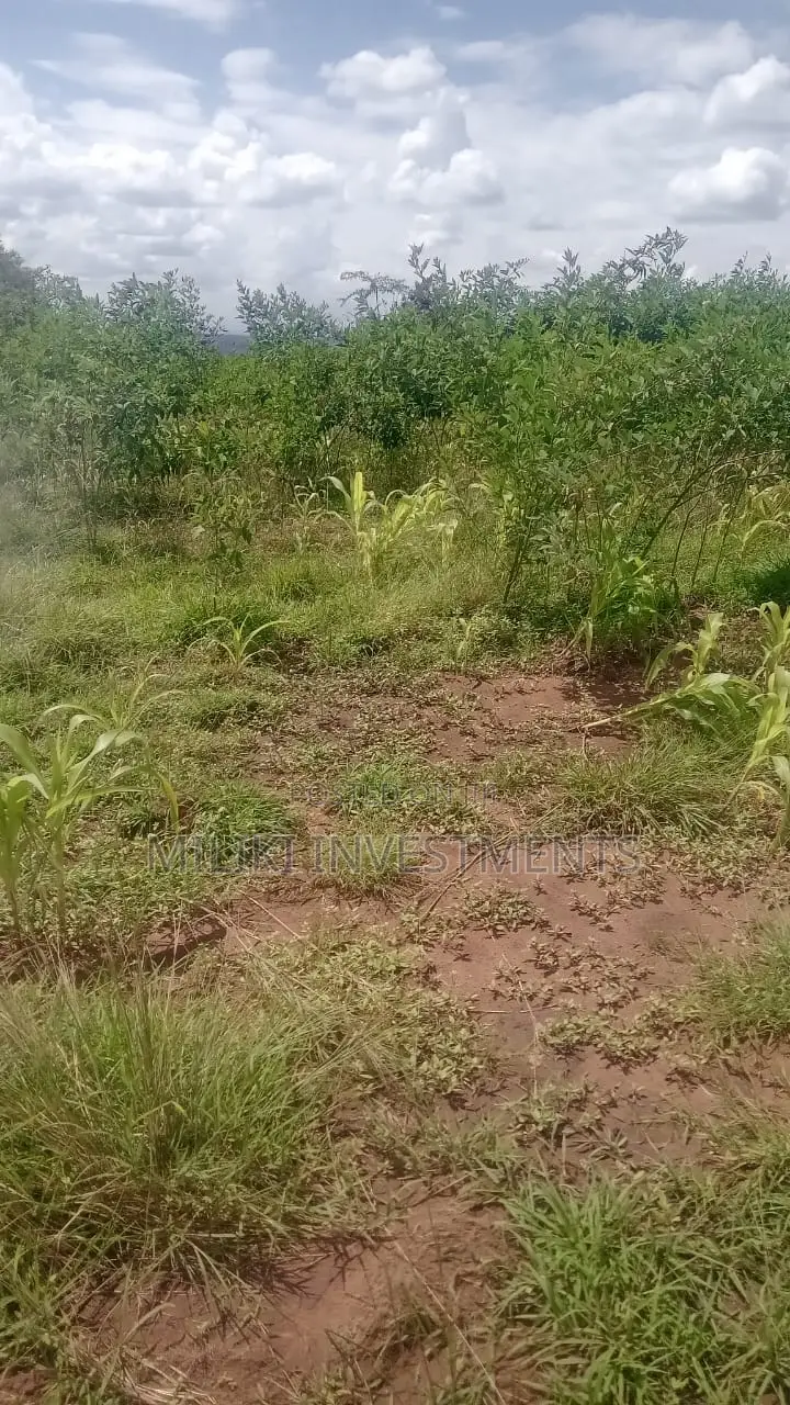 Affordable Acreage for Sale in Manaja in Seasons Estate