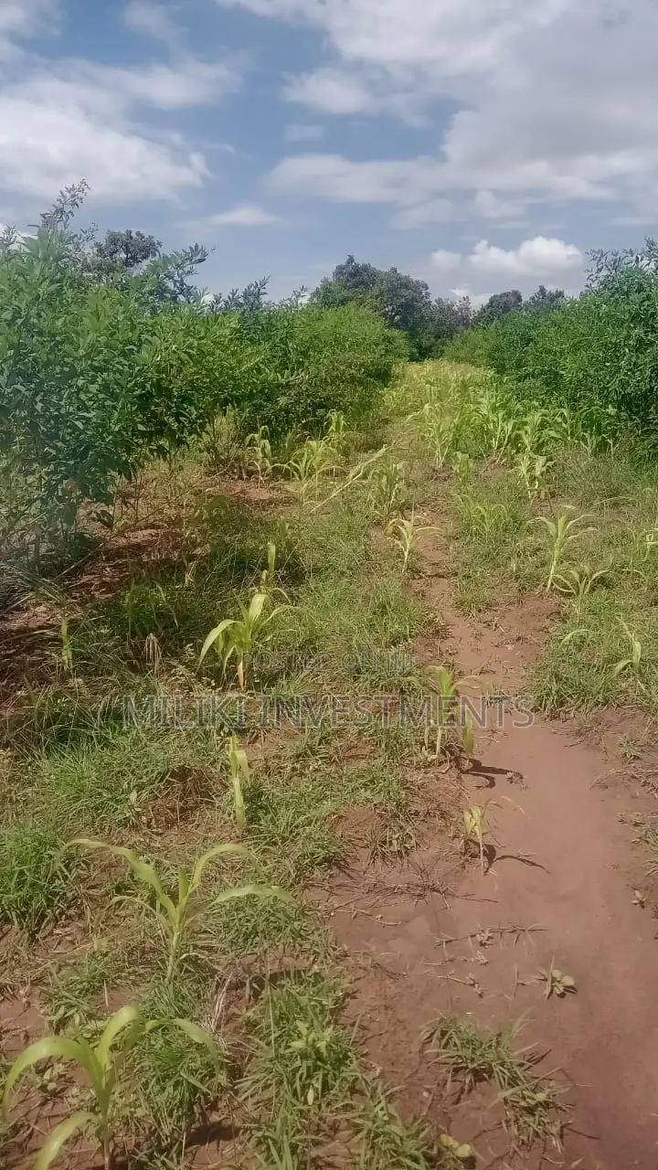 Affordable Acreage for Sale in Manaja in Seasons Estate