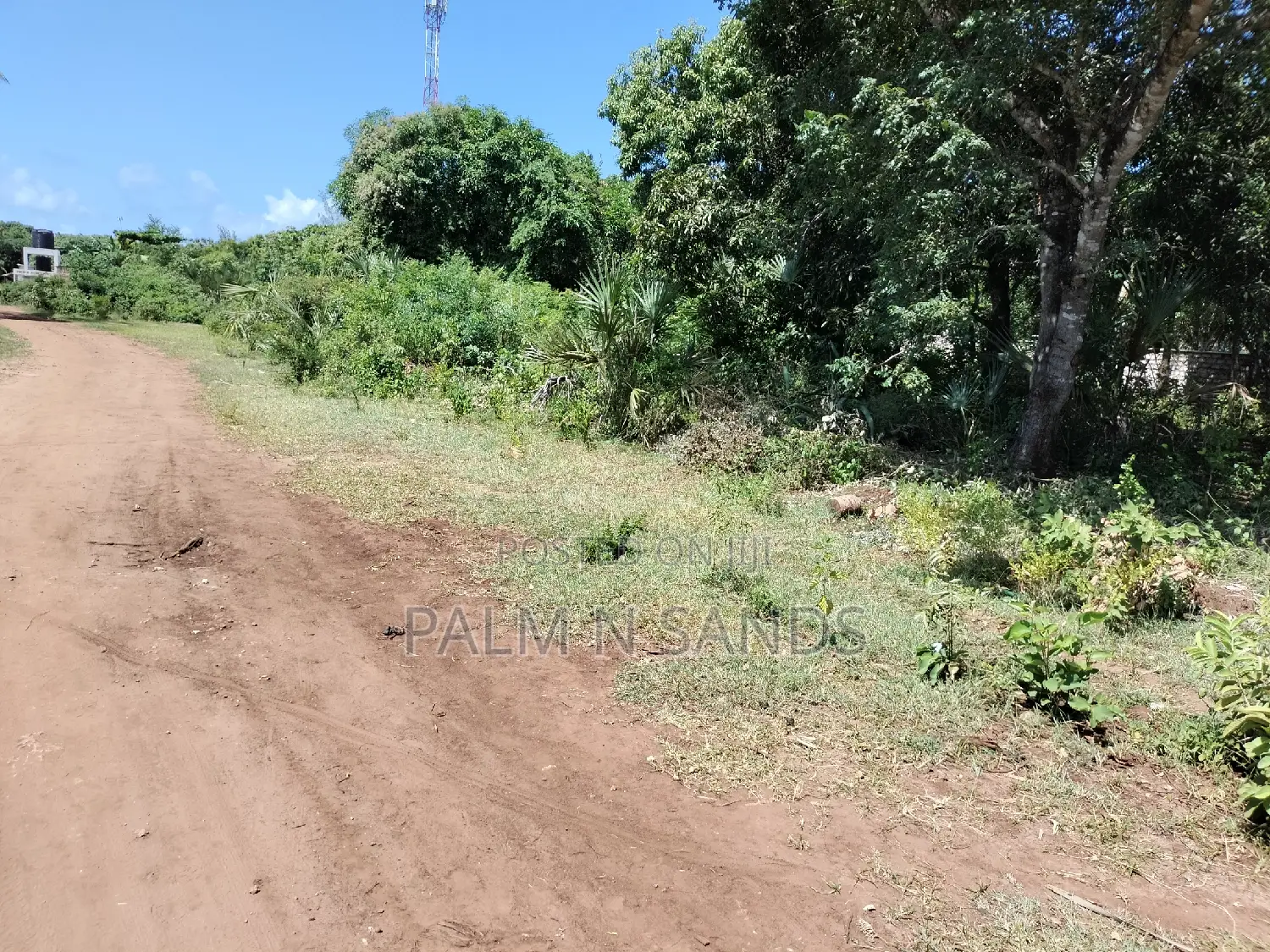 Diani Prime Land - 1.25 Acres Available for Sale in Ukunda