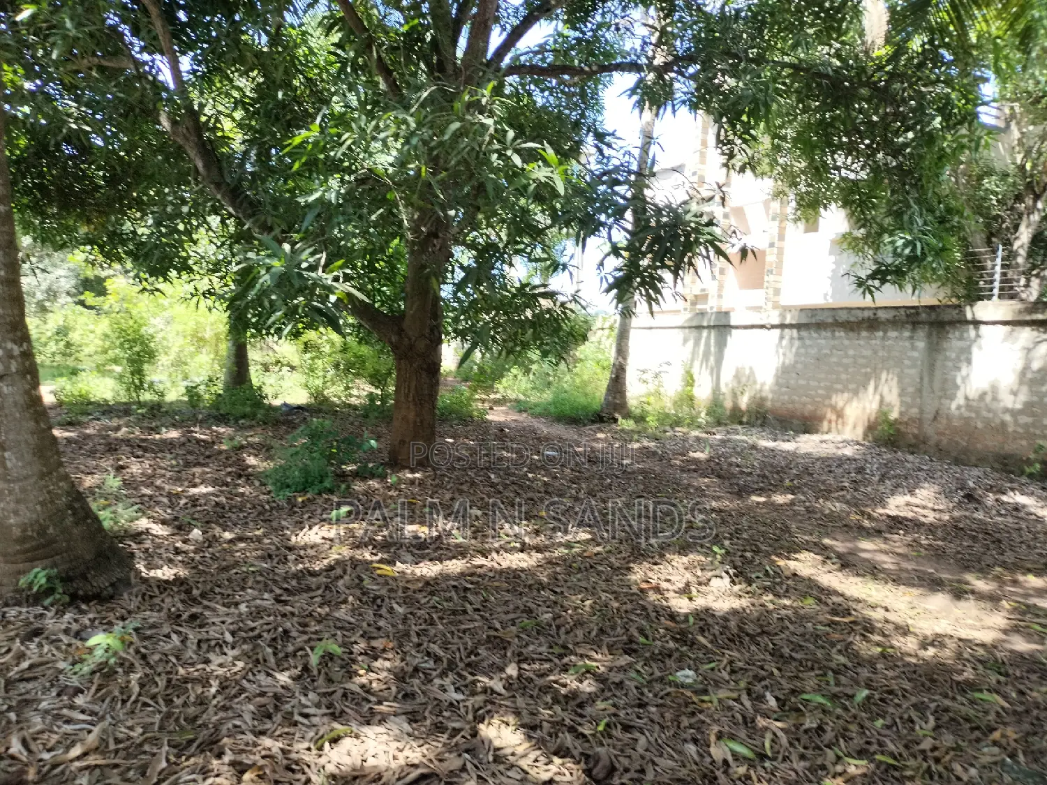 Diani Prime Land - 1.25 Acres Available for Sale in Ukunda