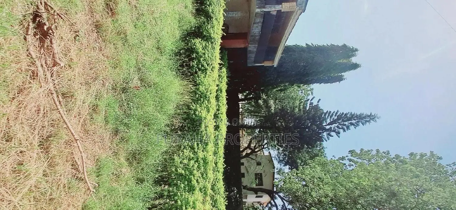 Sell Nyali Half Acre Land: Buy Now! in Nyali