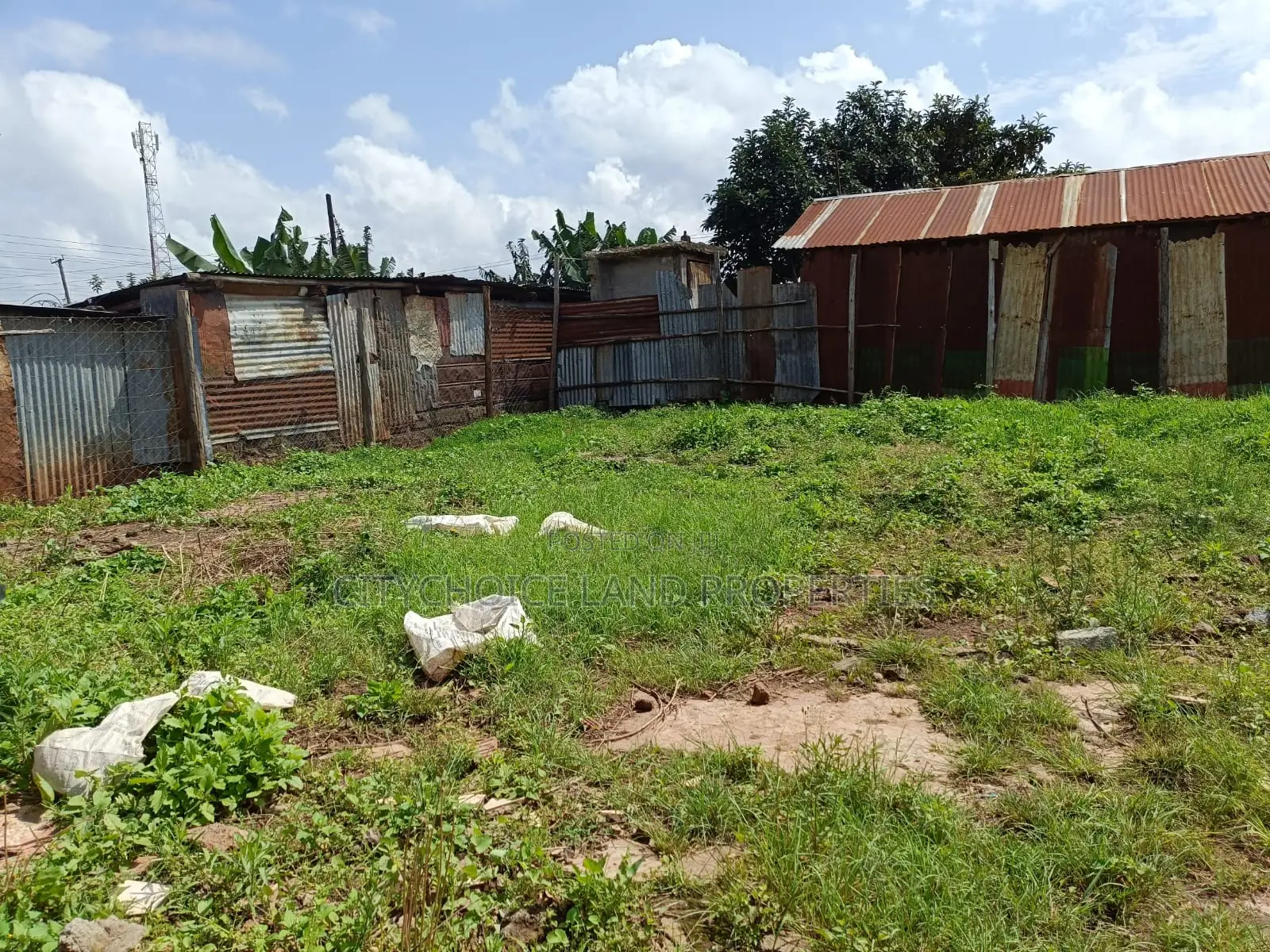 Musa Gitau's Prime Land for Sale - Invest in Real Estate in Thogoto