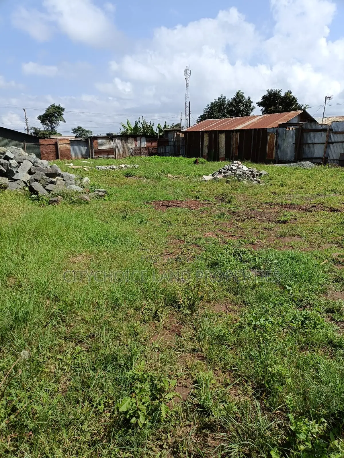 Musa Gitau's Prime Land for Sale - Invest in Real Estate in Thogoto