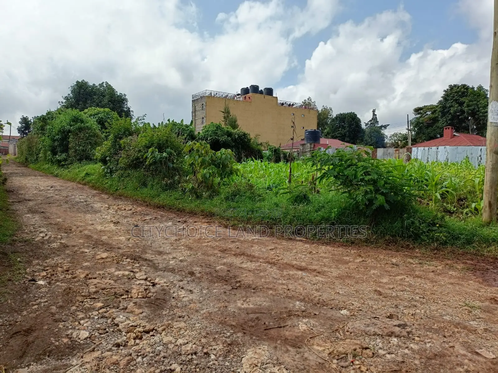 Gikambura Prime Land: Buy Today, Secure Your Future in Thogoto