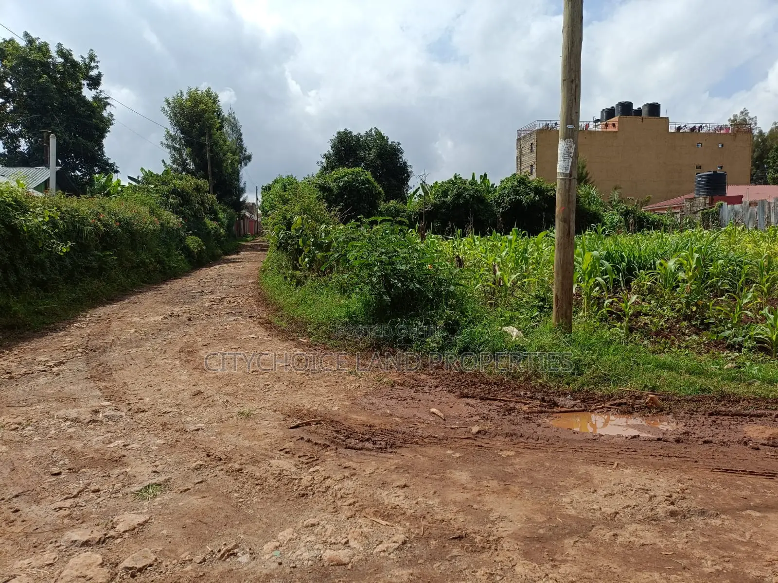 Musa Gitau, Gikambura: Prime Residential Plot Available for Sale in Thogoto