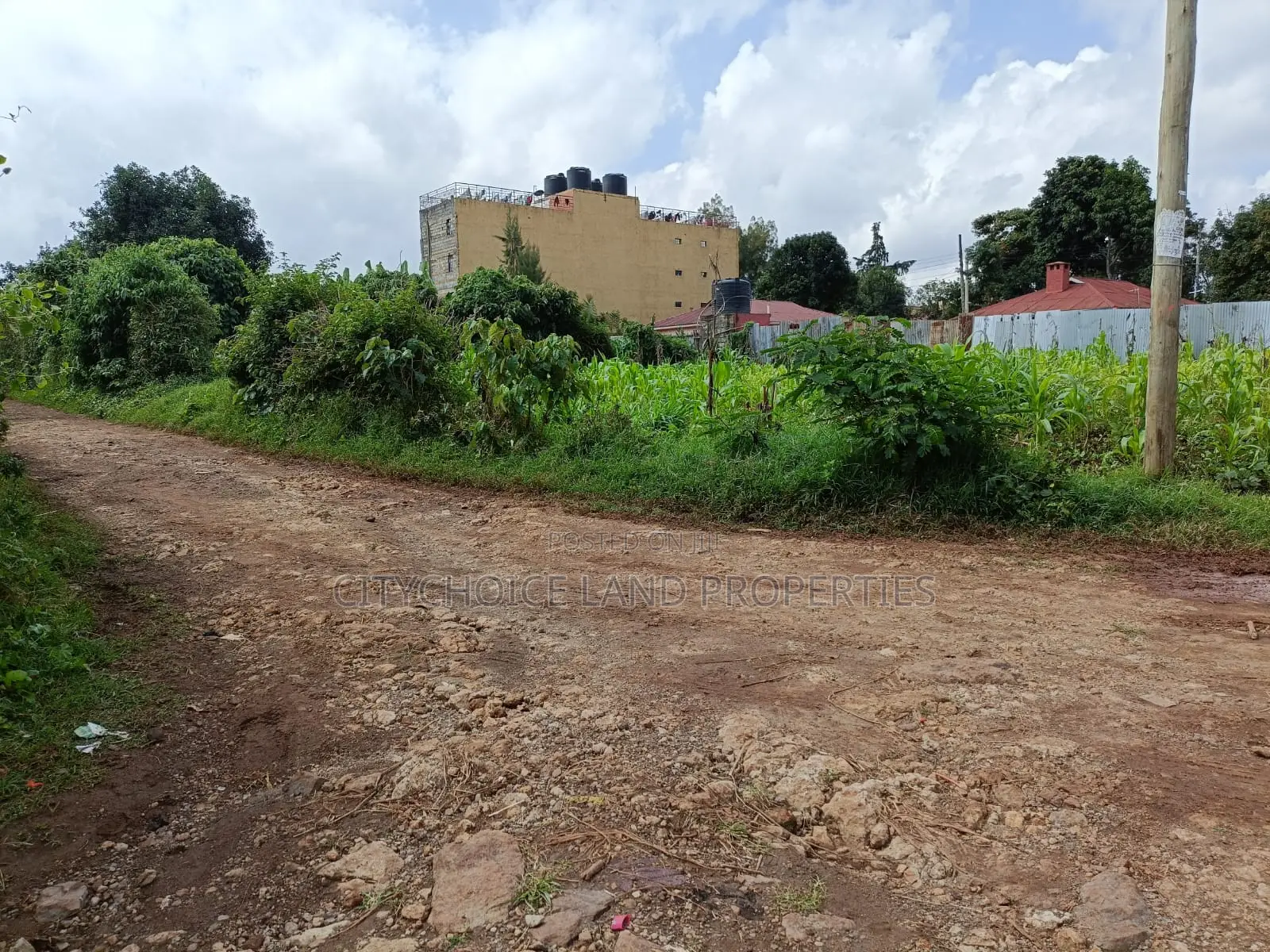 Musa Gitau, Gikambura: Prime Residential Plot Available for Sale in Thogoto