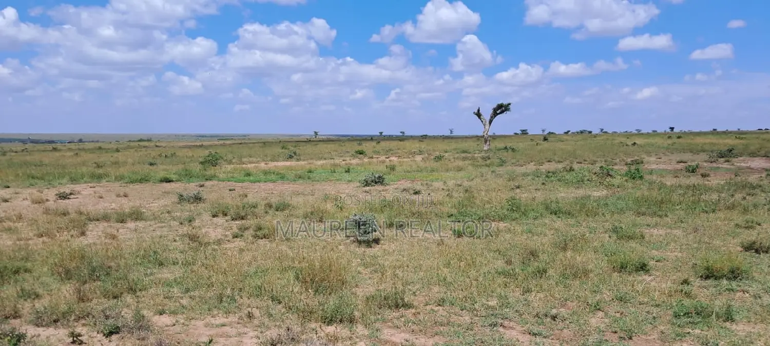 Buy 50x100 Plots in ERERI NANYUKI - Limited Time Offer! in Nanyuki