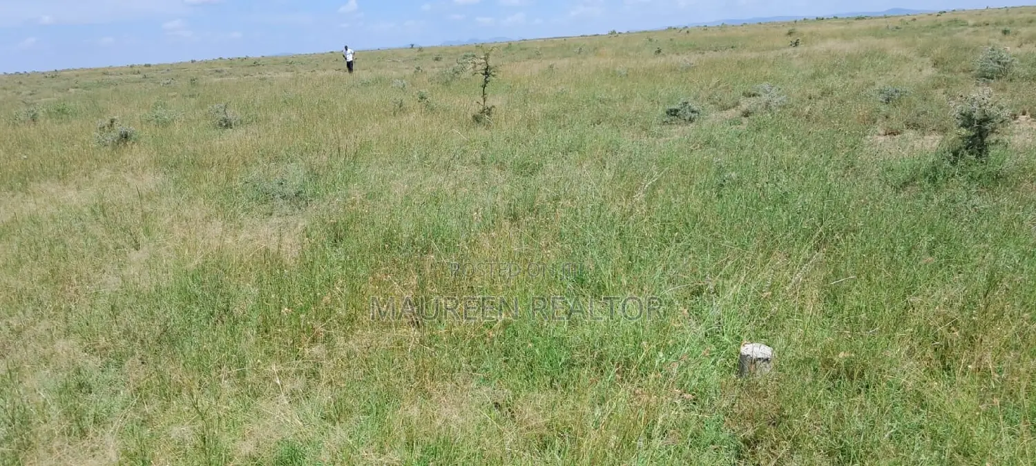 Buy 50x100 Plots in ERERI NANYUKI - Limited Time Offer! in Nanyuki