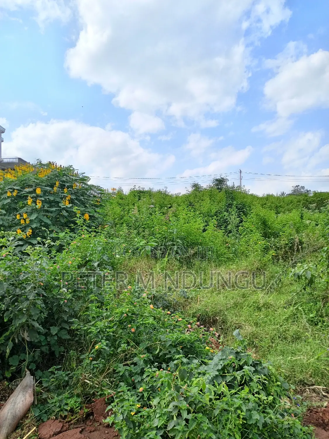 Garden Estate Paradise: Half Acre Residential Plot in Piave Gardens