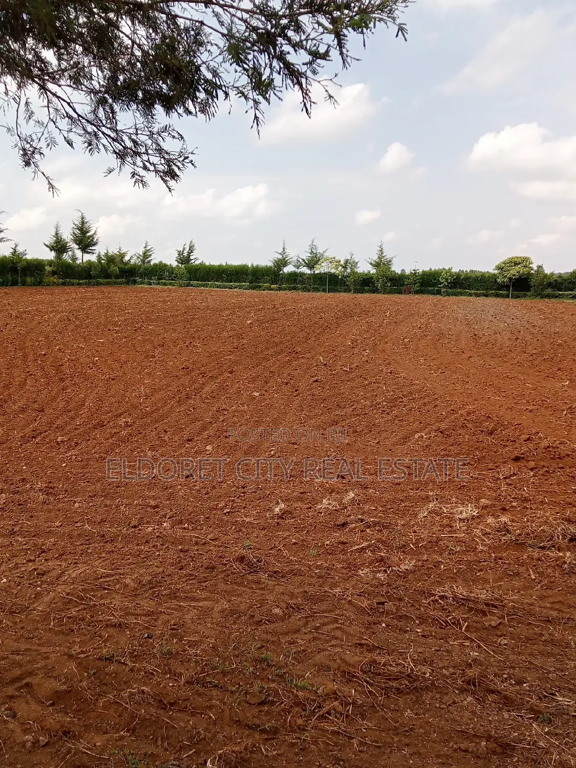 1.5 Acres Kuinet Ideal for Residential in Kapsuswa
