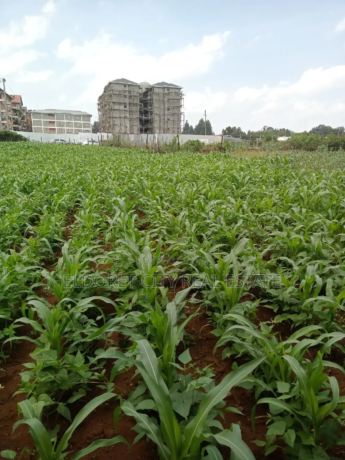 1/4 Plots National Towards Langas Ideal for Investment in Kapsuswa