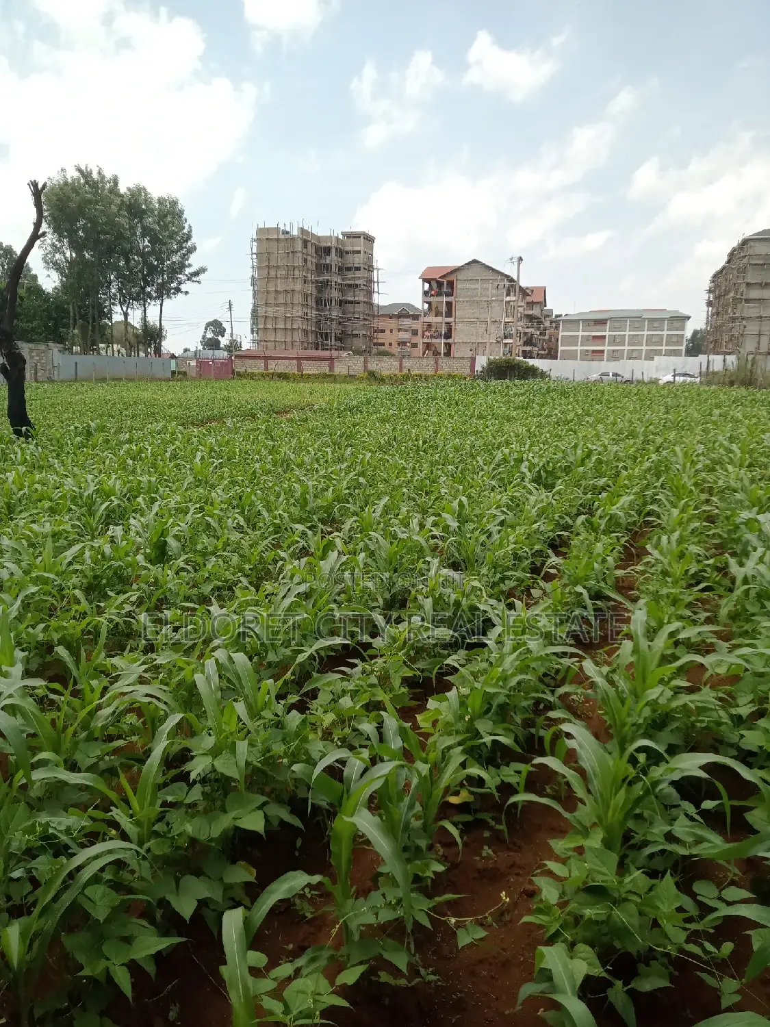 1/4 Plots National Towards Langas Ideal for Investment in Kapsuswa