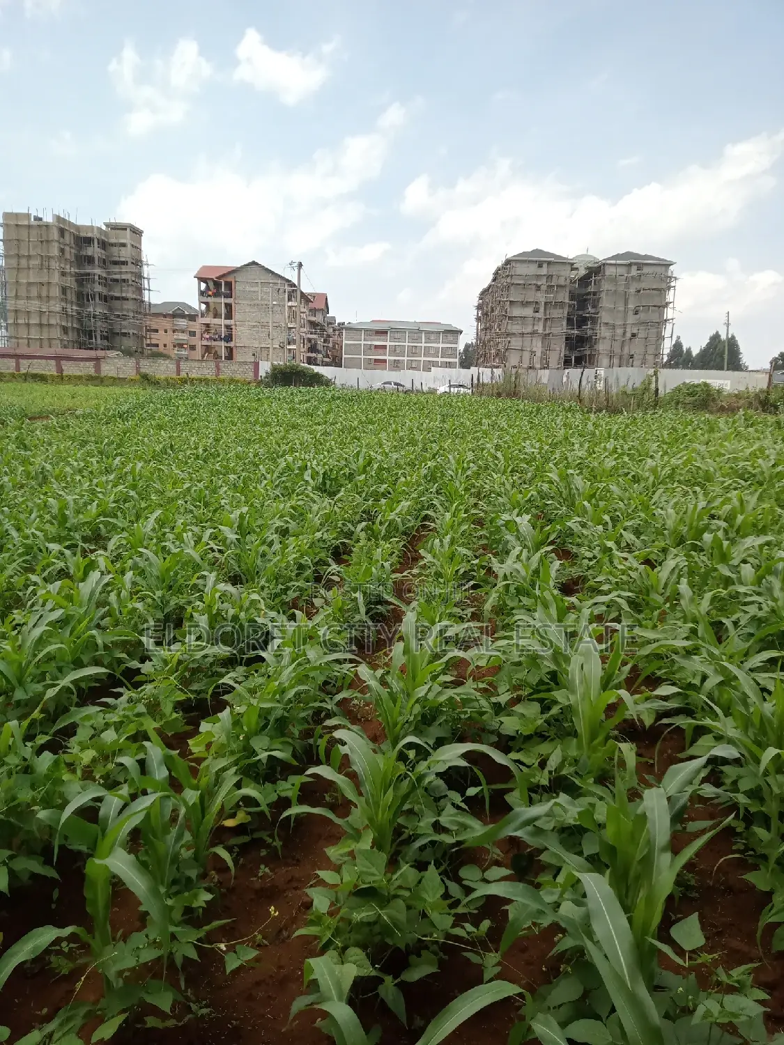 1/4 Plots National Towards Langas Ideal for Investment in Kapsuswa