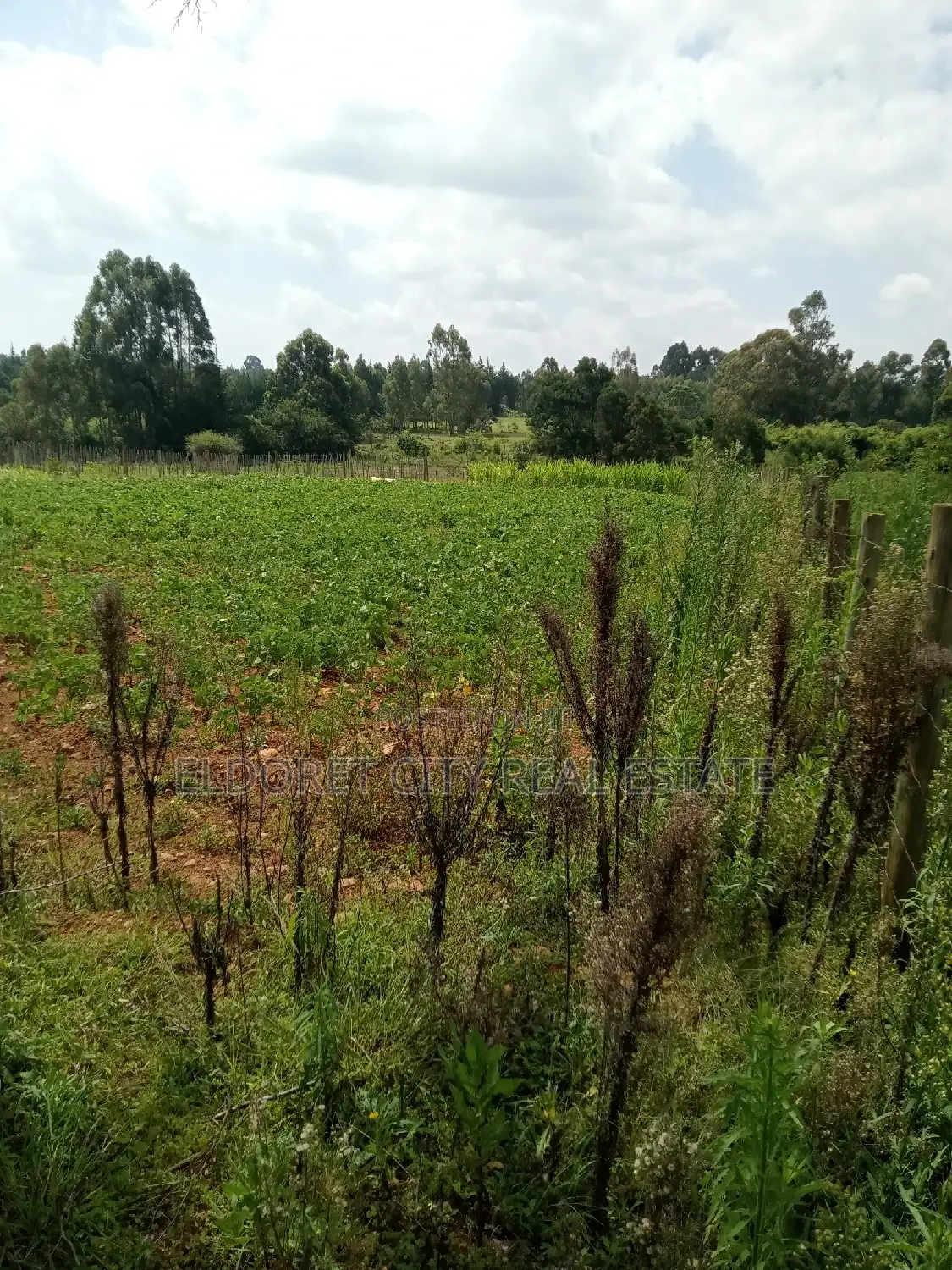 10 Acres Naiberi Touching Permanent Flowing River in Kapsuswa