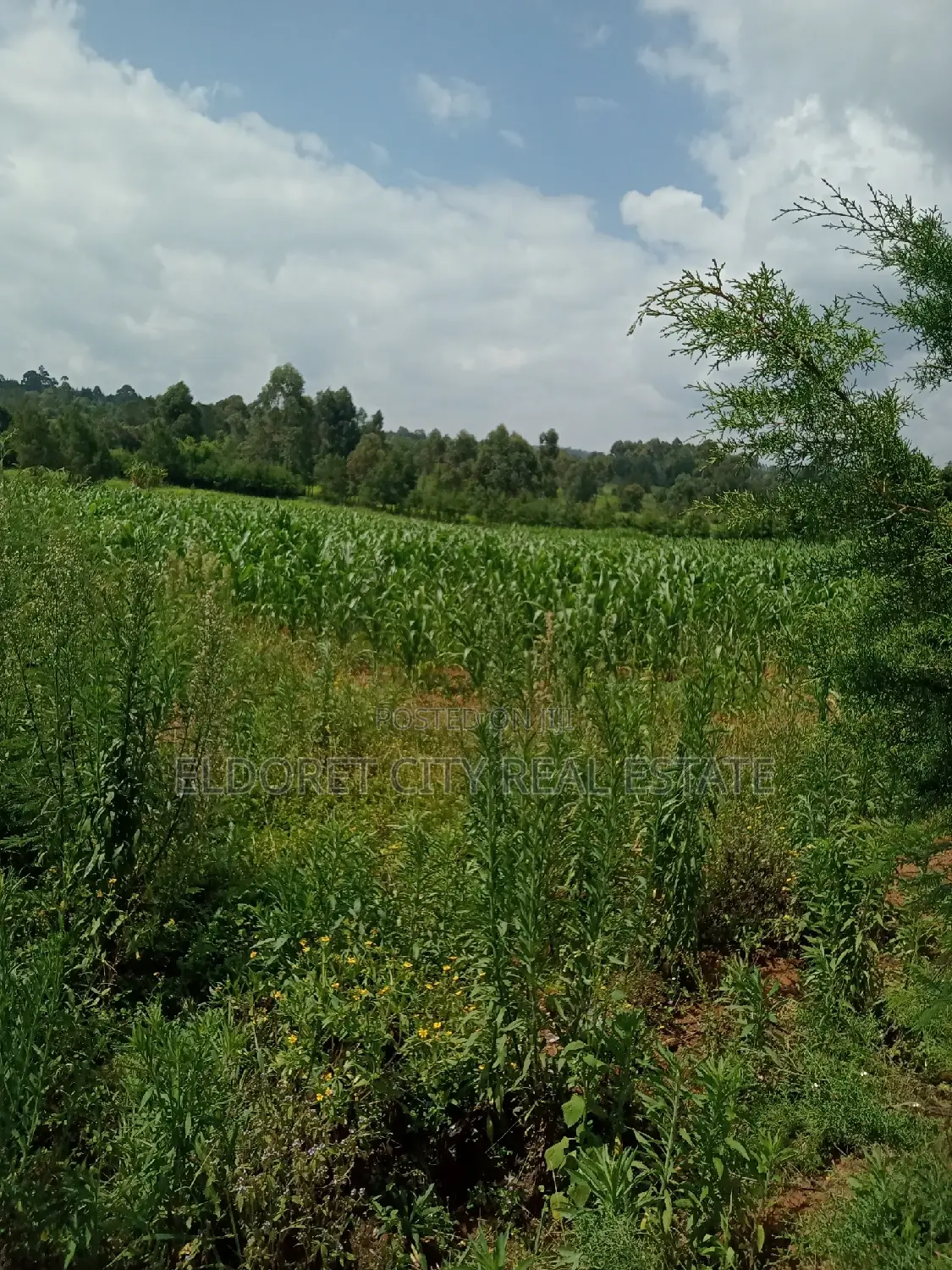 10 Acres Naiberi Touching Permanent Flowing River in Kapsuswa