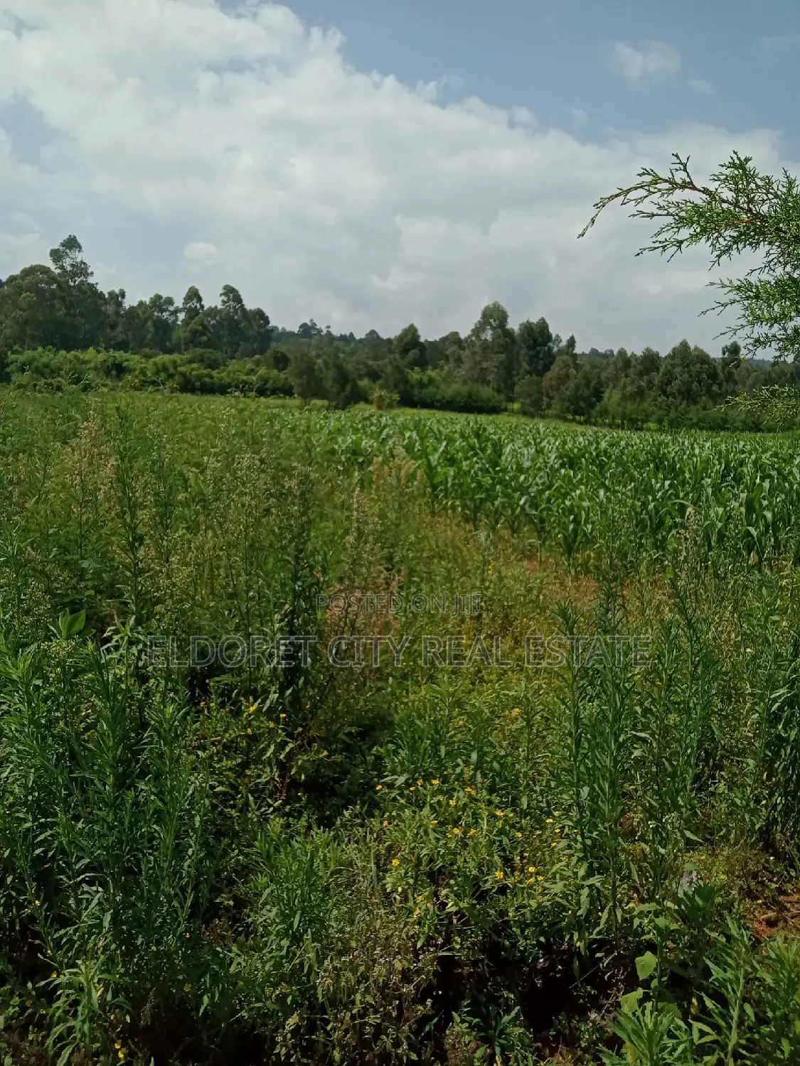 10 Acres Naiberi Touching Permanent Flowing River in Kapsuswa