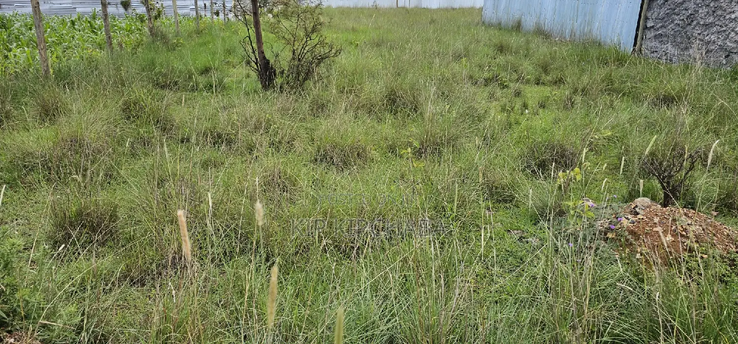 Plot for Sale in Elgonview KUSCO, Eldoret - Invest in Your Future Today in Elgon View