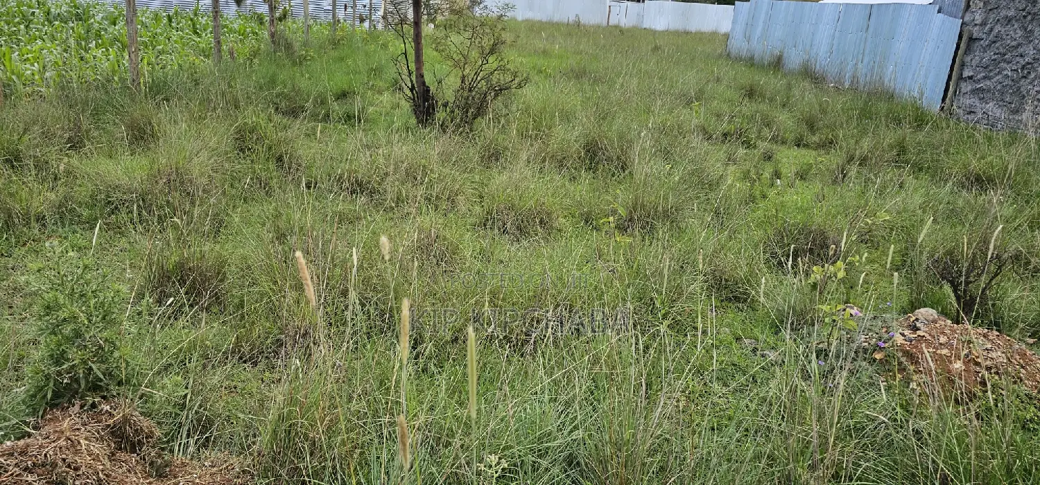 Plot for Sale in Elgonview KUSCO, Eldoret - Invest in Your Future Today in Elgon View