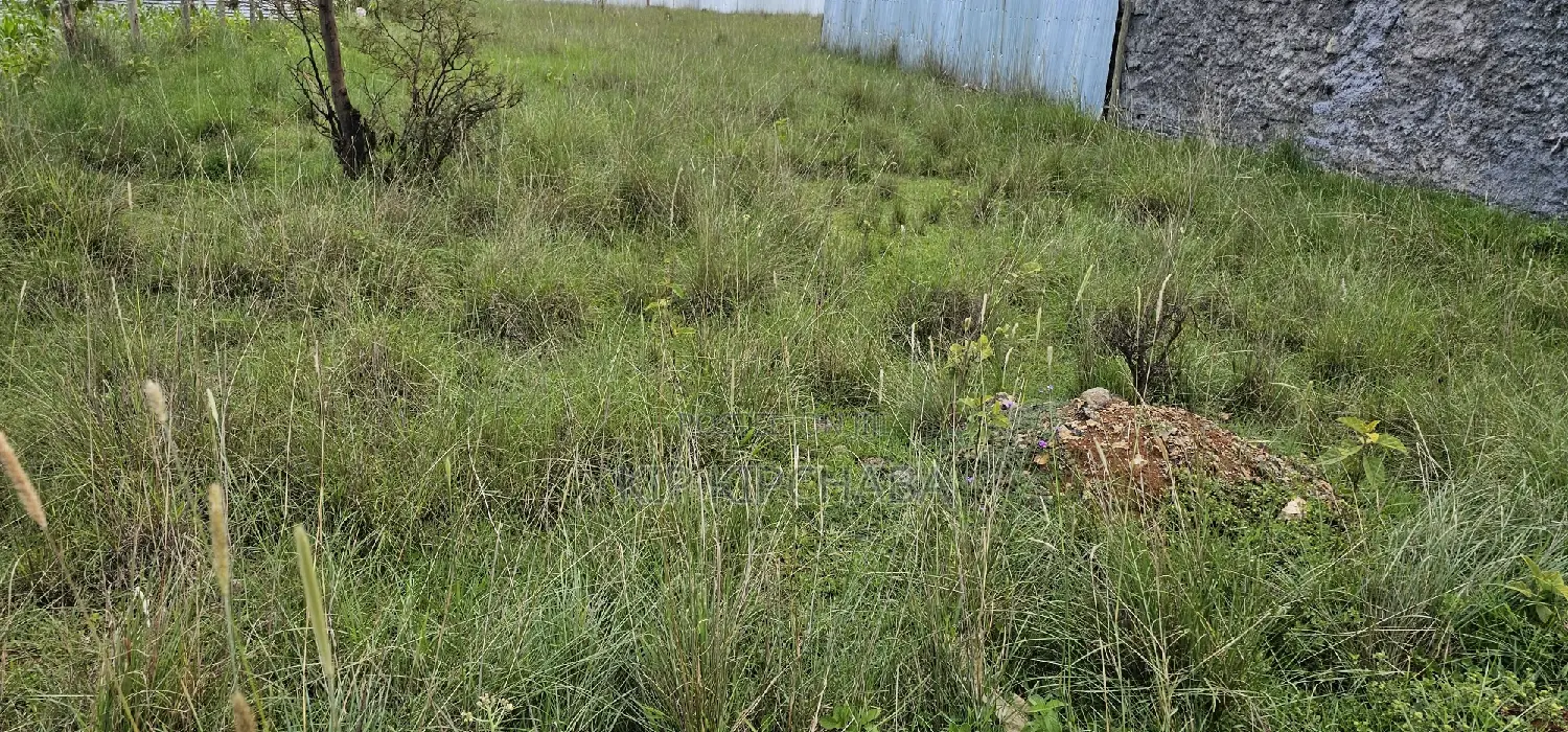 Plot for Sale in Elgonview KUSCO, Eldoret - Invest in Your Future Today in Elgon View