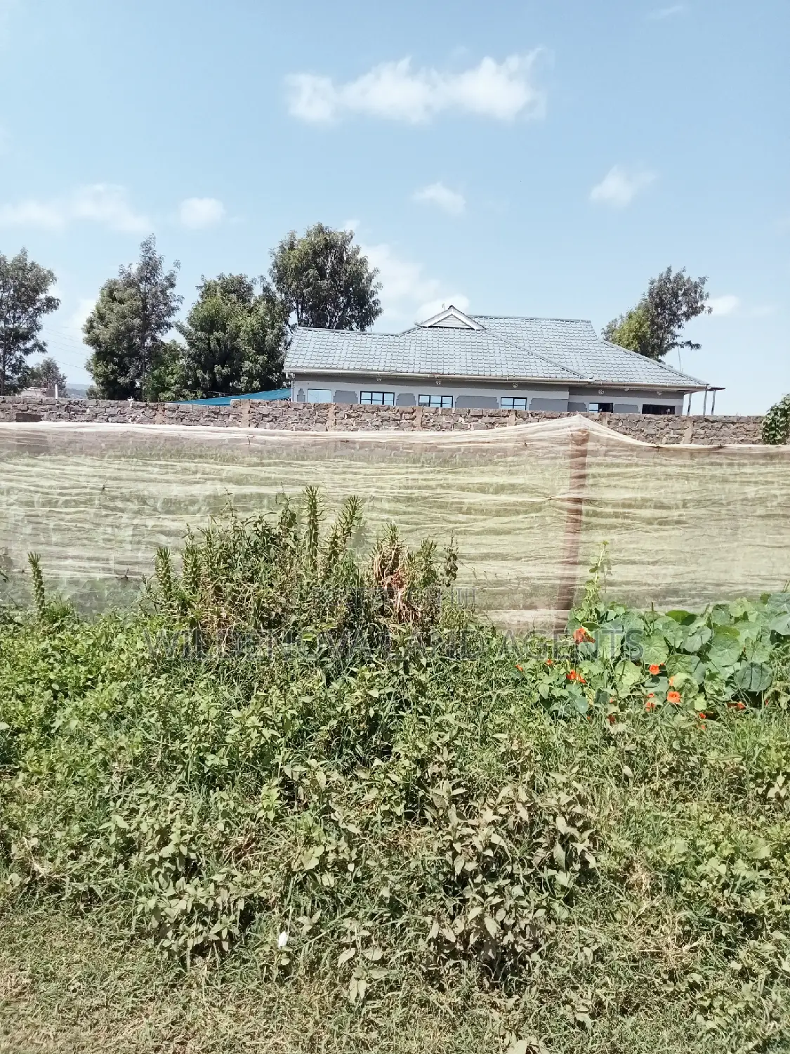 Land Sale in Kayole Naivasha: Plot Available in Naivasha East
