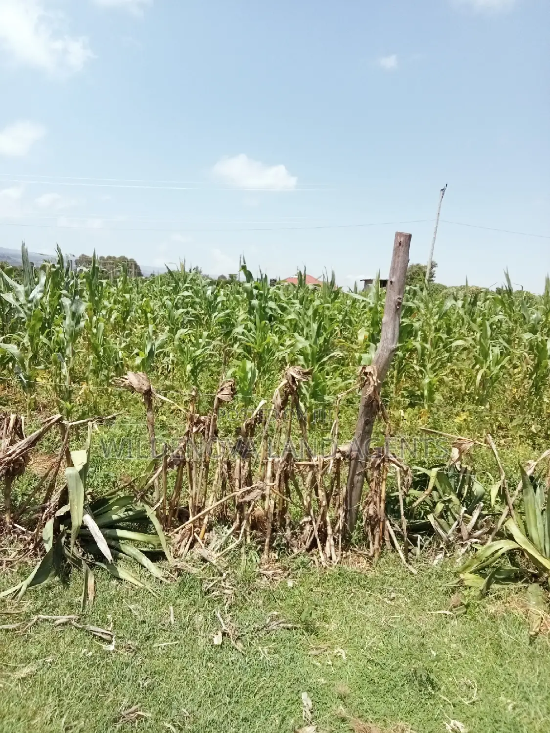 Land Sale in Kayole Naivasha: Plot Available in Naivasha East