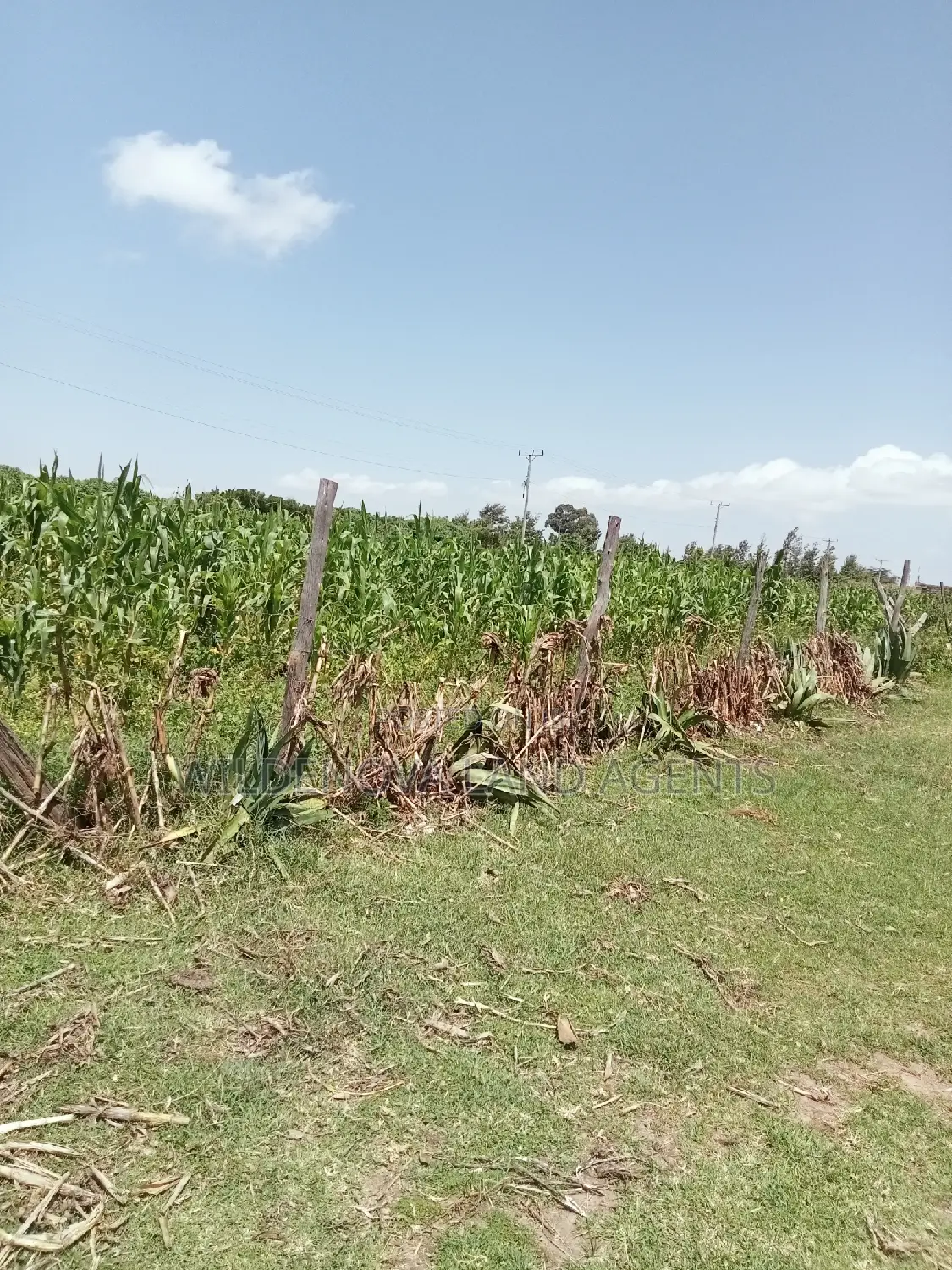 Land Sale in Kayole Naivasha: Plot Available in Naivasha East