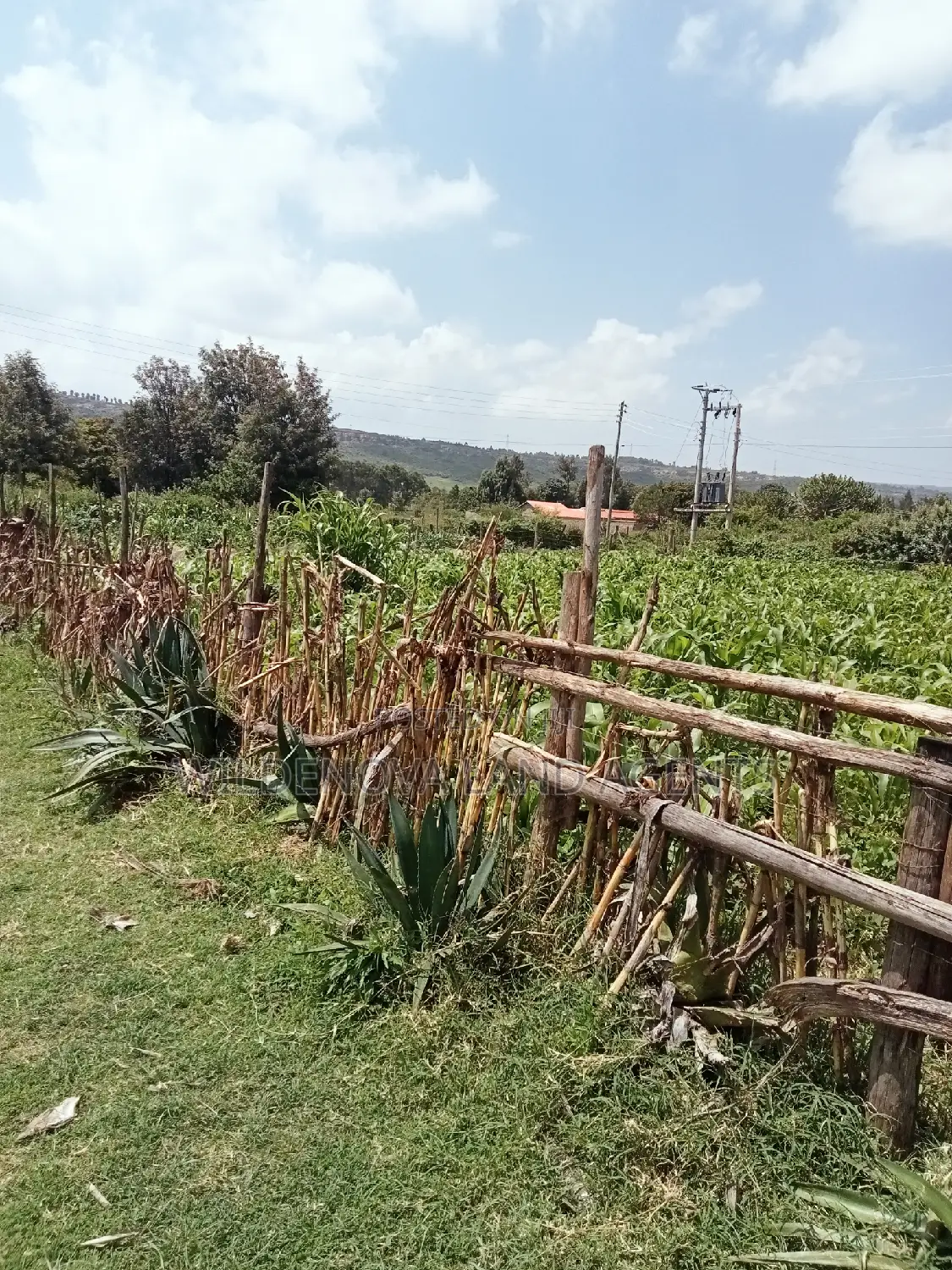 Land Sale in Kayole Naivasha: Plot Available in Naivasha East