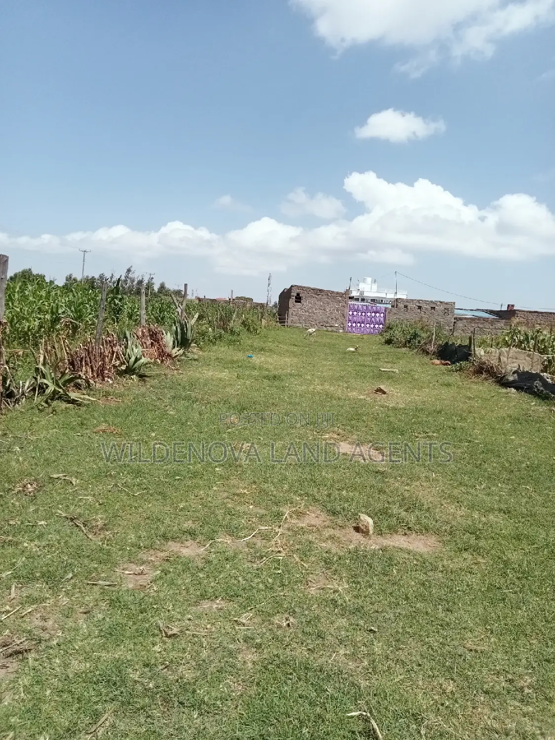 Land Sale in Kayole Naivasha: Plot Available in Naivasha East