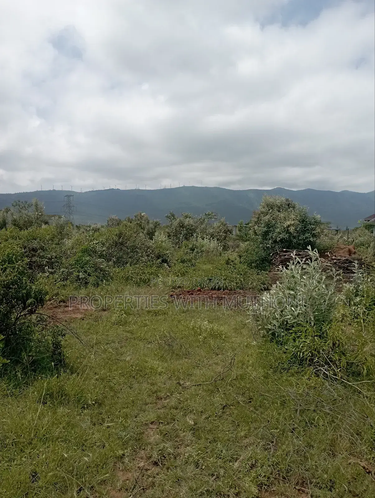 Plot for Sale in Kimuka, Ngong - Don't Miss Out on This Opportunity! in Kibiku