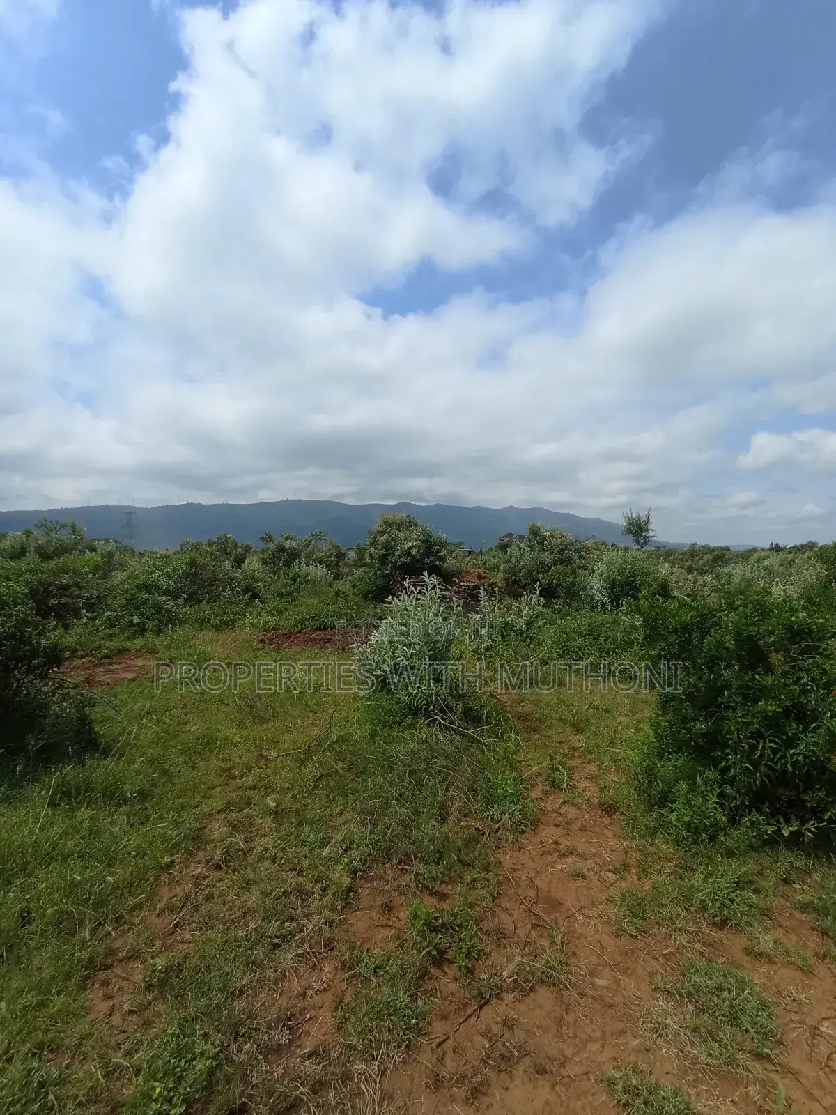 Plot for Sale in Kimuka, Ngong - Don't Miss Out on This Opportunity! in Kibiku