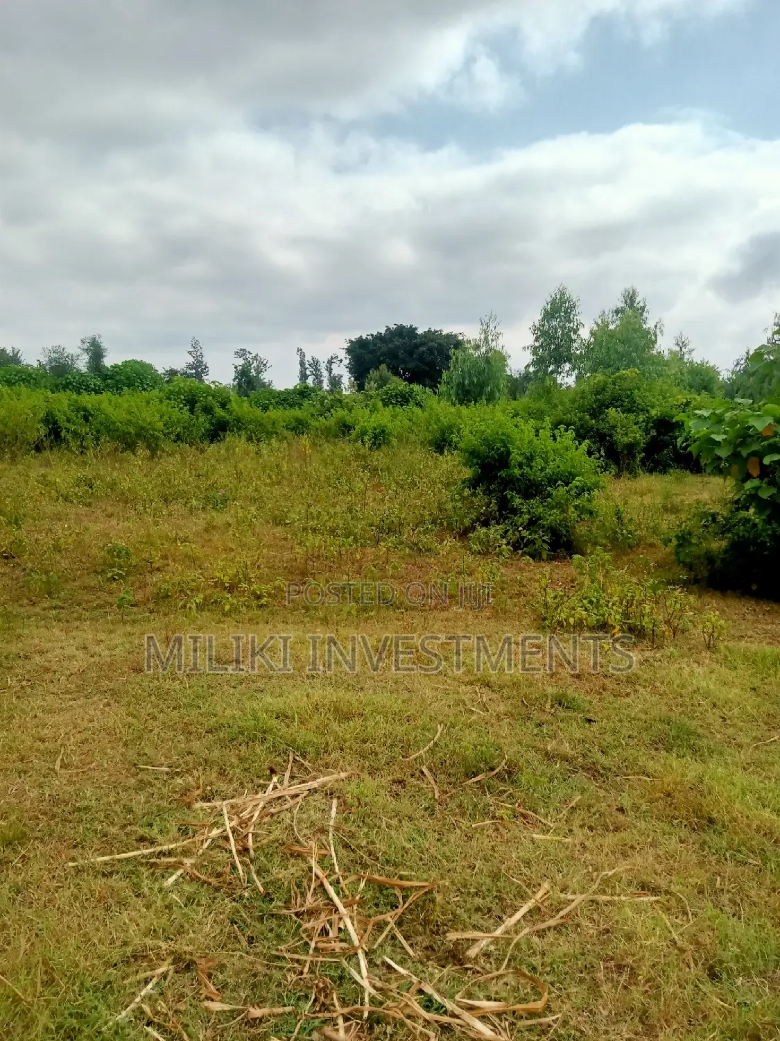 Invest in 2 Acres of Land in Makutano - Excellent Buy Opportunity in Mutithi