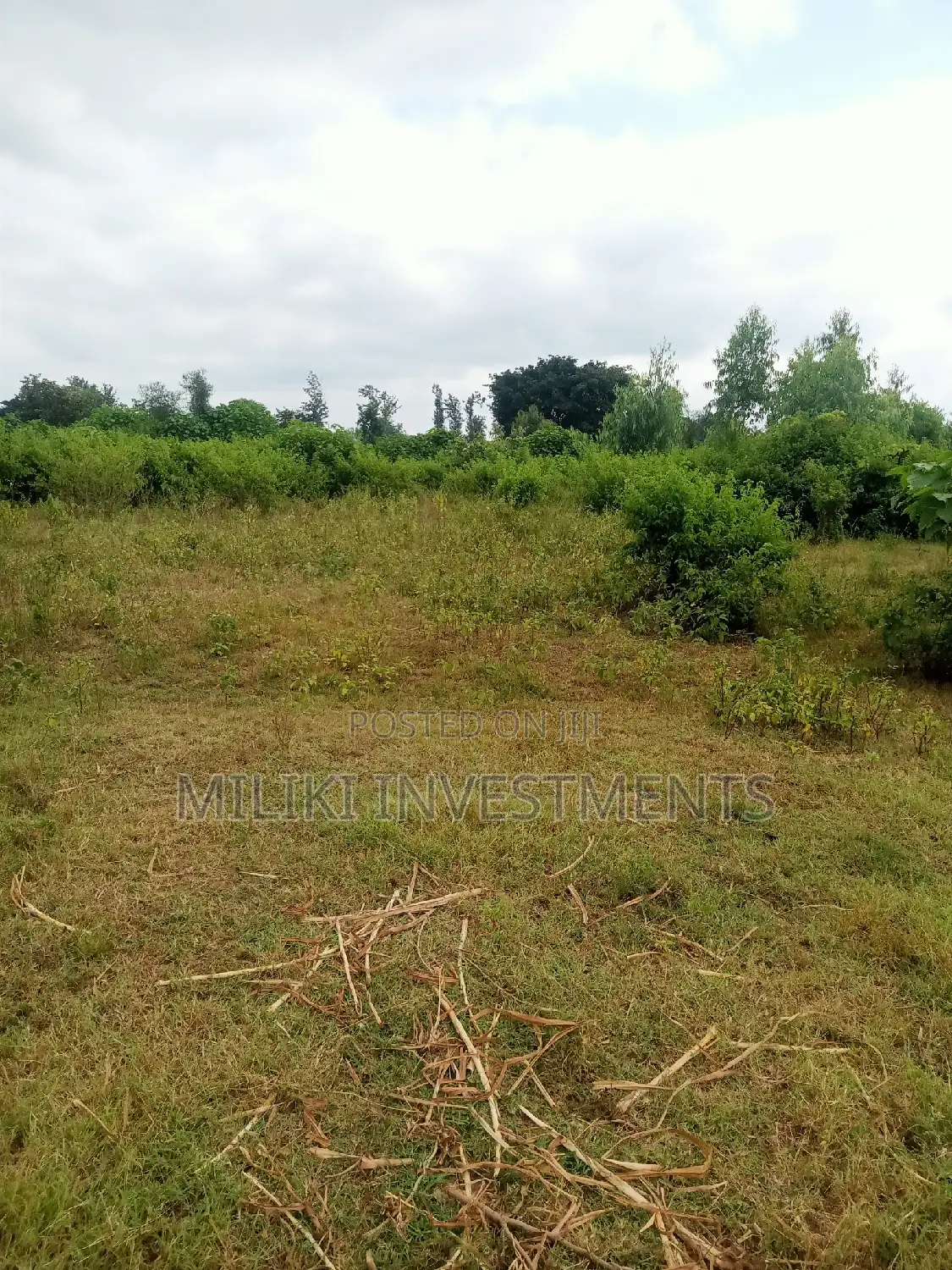 Invest in 2 Acres of Land in Makutano - Excellent Buy Opportunity in Mutithi