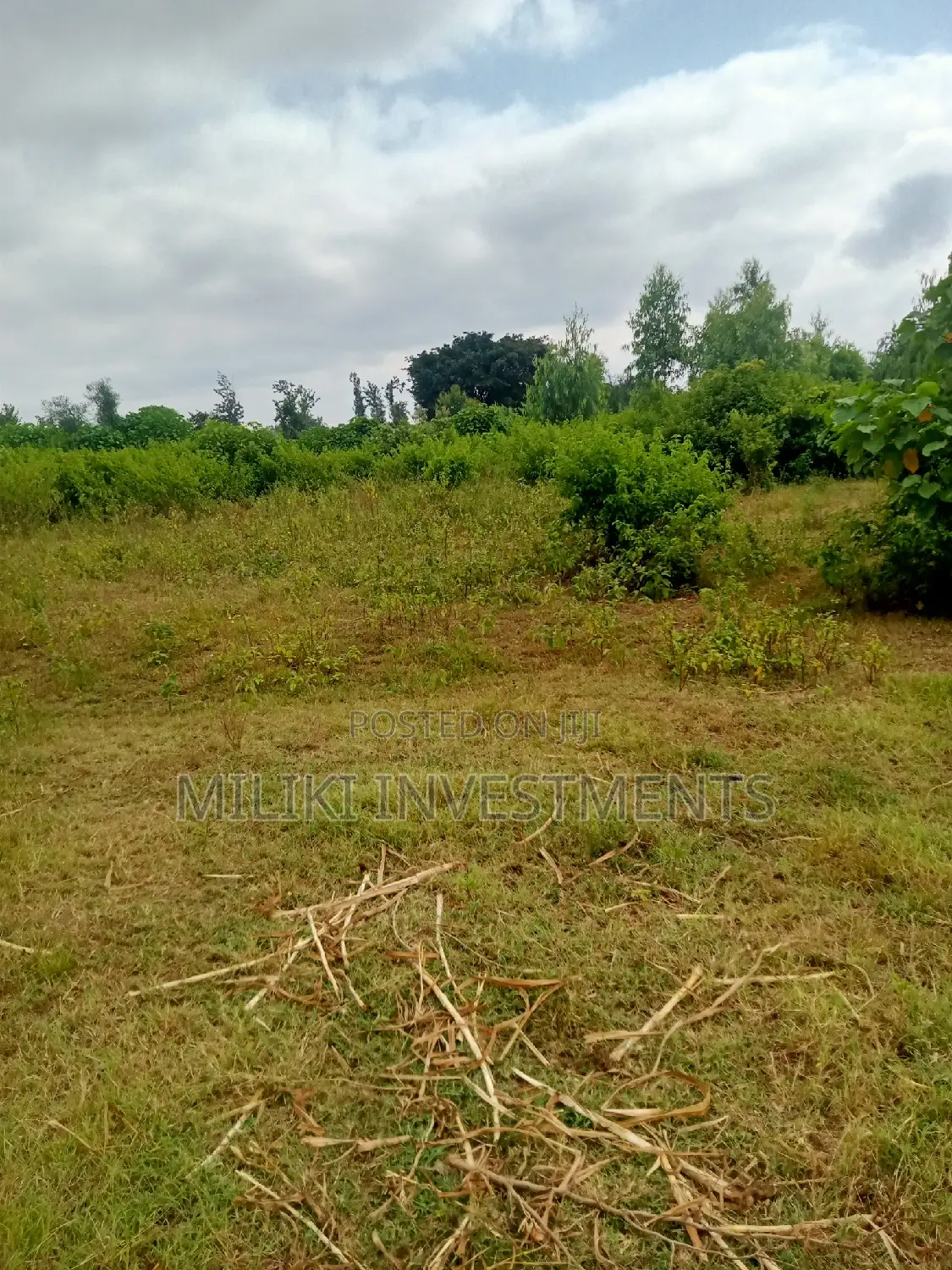 Invest in 2 Acres of Land in Makutano - Excellent Buy Opportunity in Mutithi