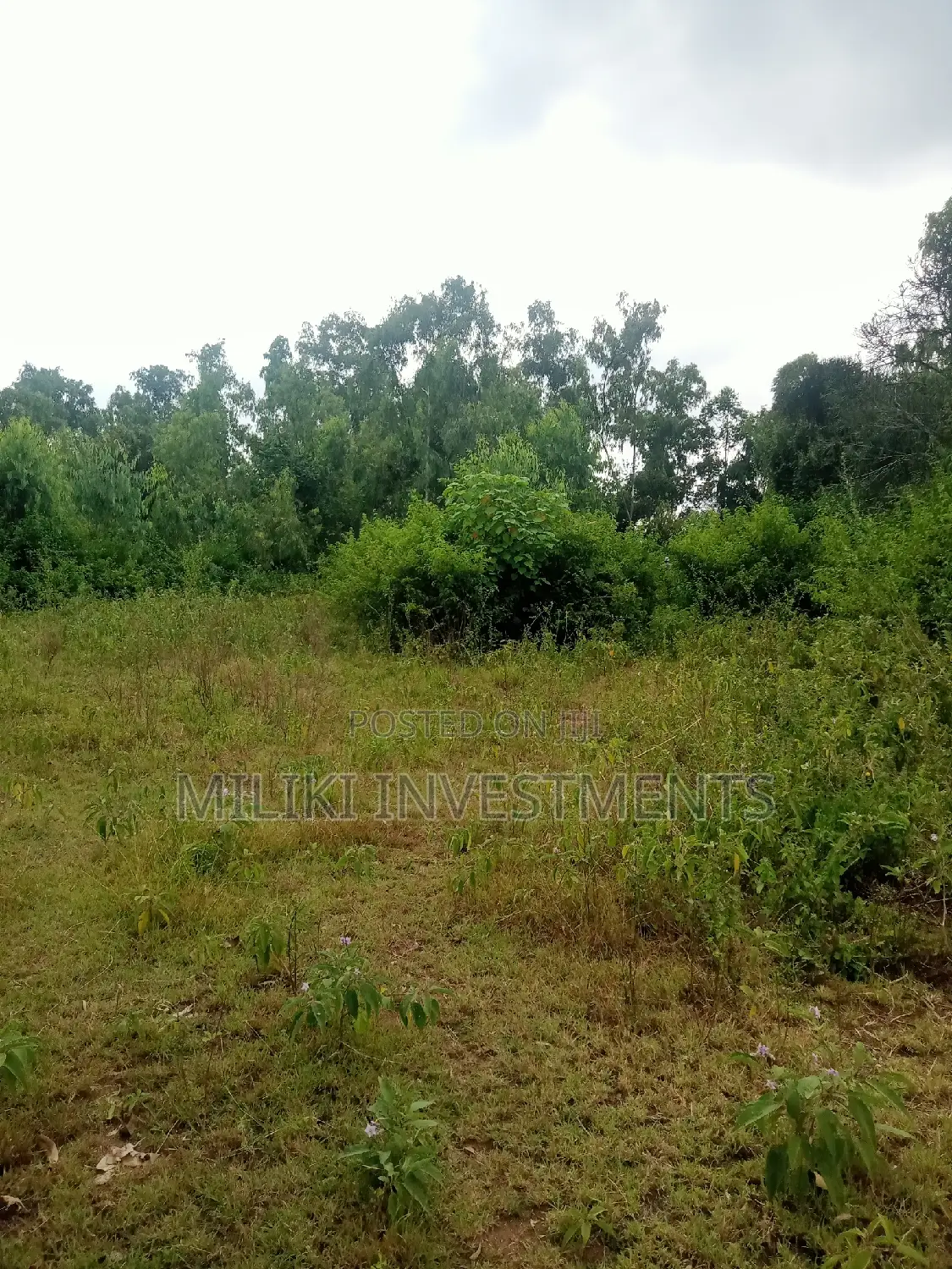 Invest in 2 Acres of Land in Makutano - Excellent Buy Opportunity in Mutithi