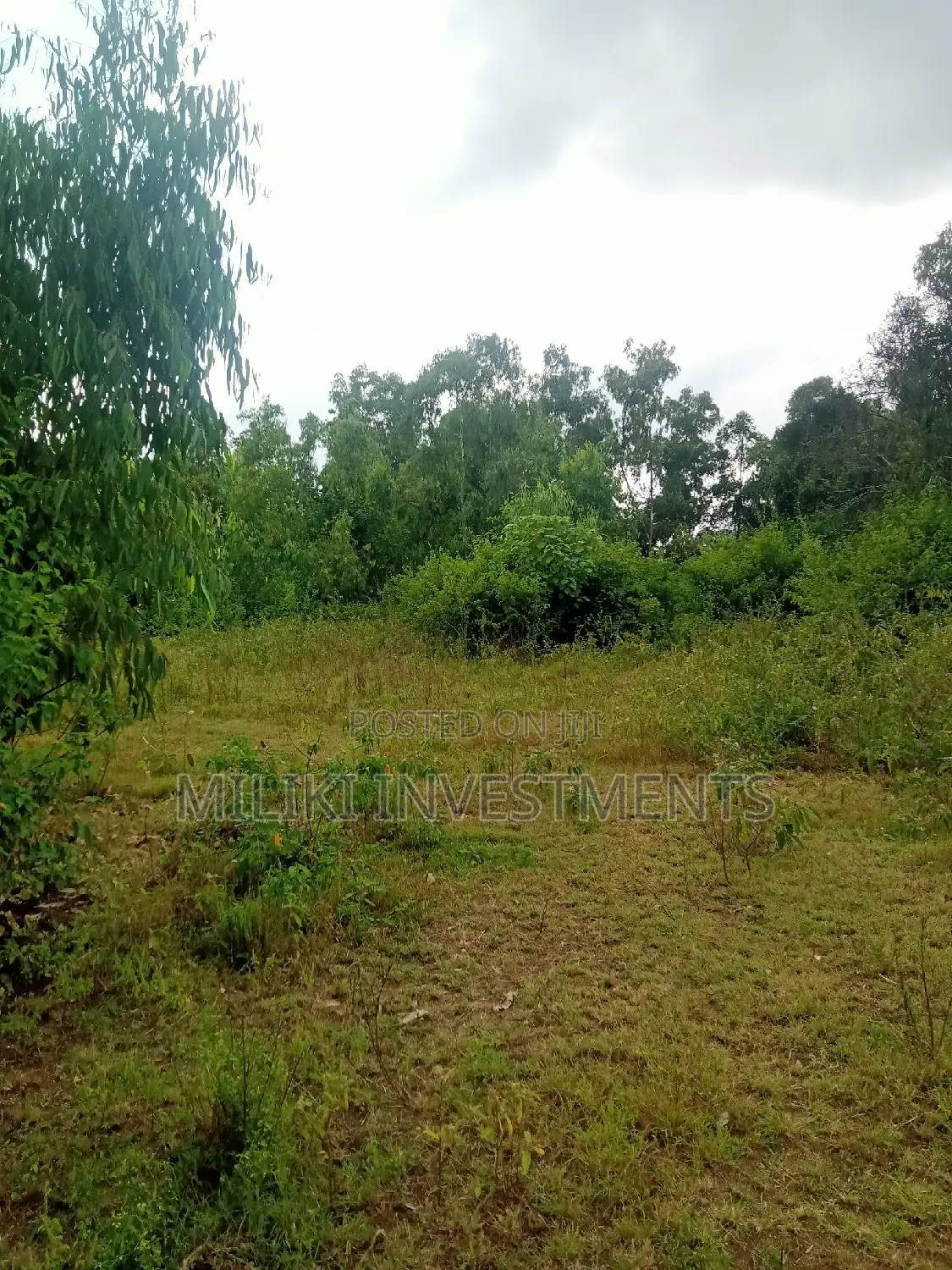 Invest in 2 Acres of Land in Makutano - Excellent Buy Opportunity in Mutithi