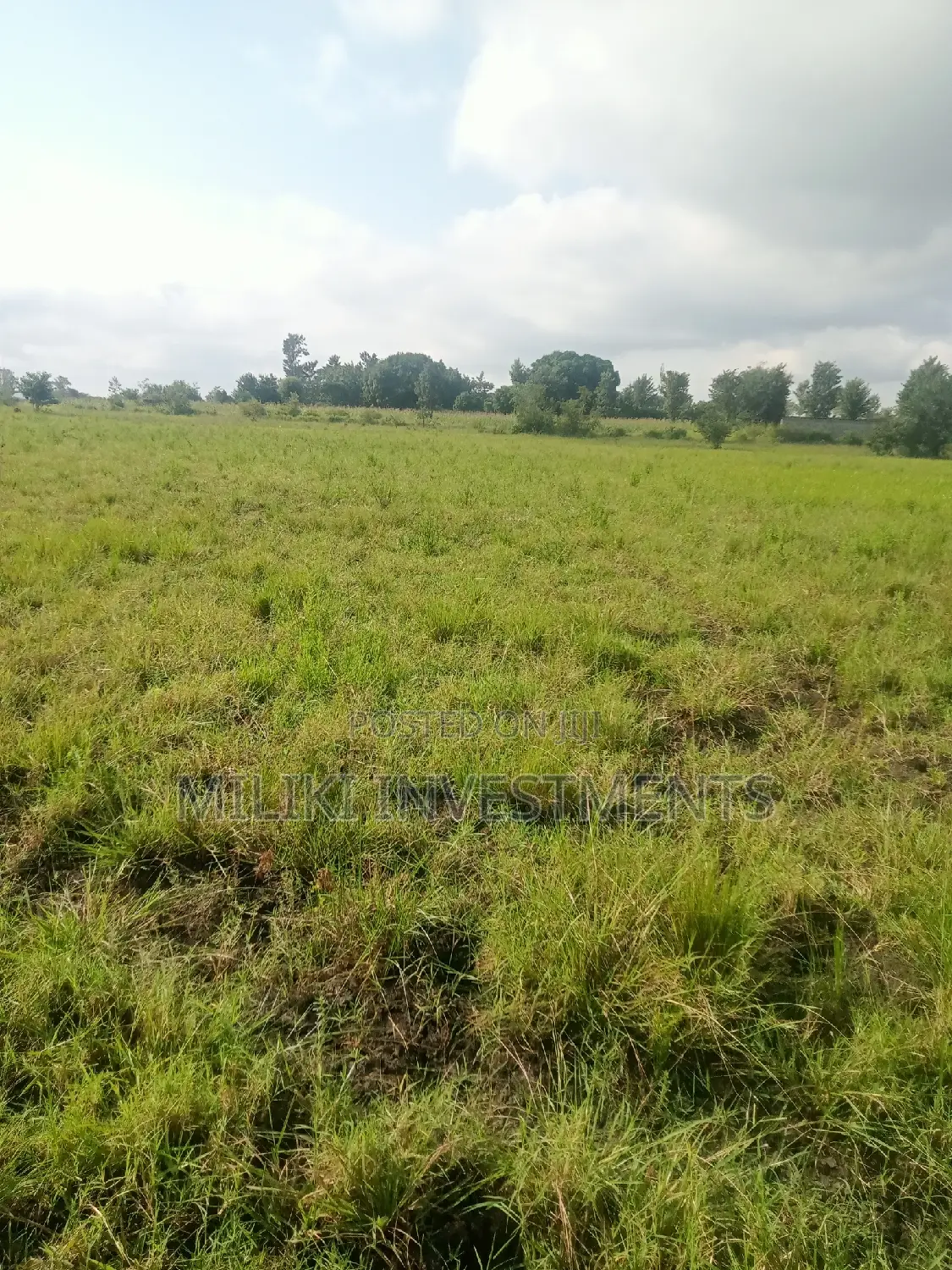 Land Investment in Makutano - 2 Acre Plot Available! in Mutithi