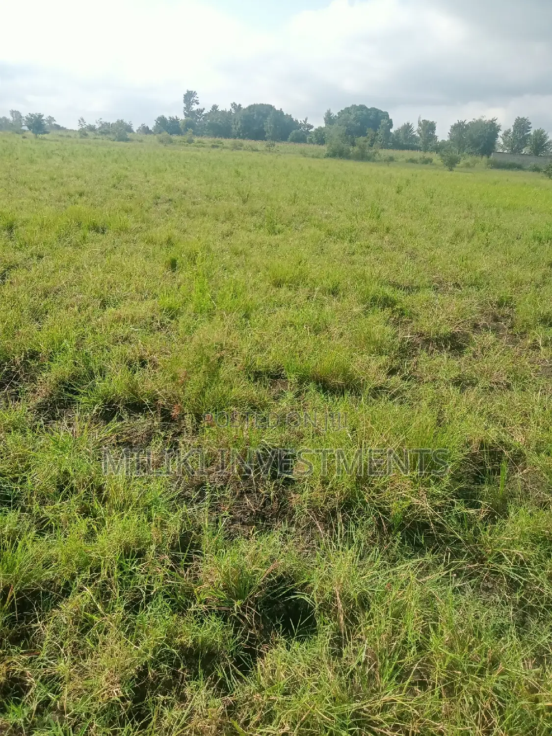 Land Investment in Makutano - 2 Acre Plot Available! in Mutithi